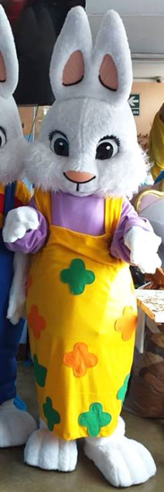 Adult Bunny Mascot Costume with Colorful Dress